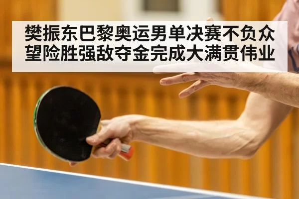 樊振东巴黎奥运男单决赛不负众望险胜强敌夺金完成大满贯伟业